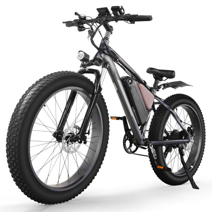 Eco Flying Top20 Fat Tyre 1000w electric Bike