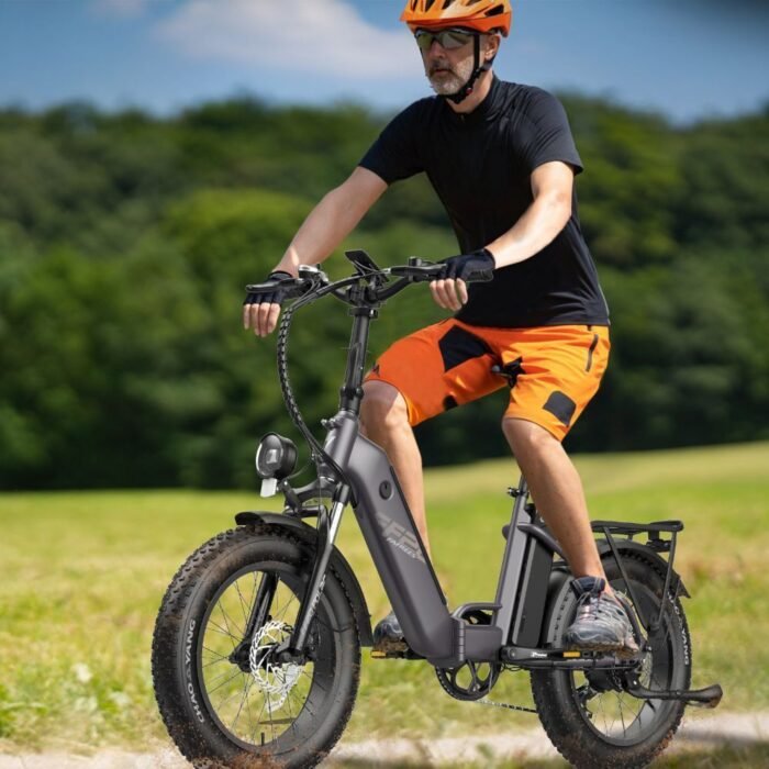 Fafrees FF20 Polar electric bike 500w Dual Battery 20.8Ah 48v Folding