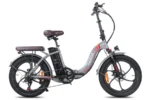 Fafrees F20 Pro electric bike 250w 18Ah 36v Folding